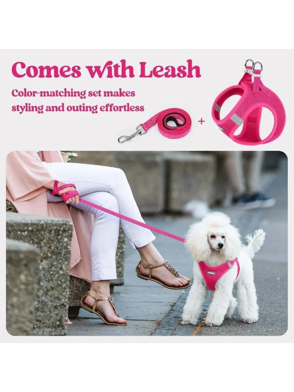 Soft Light Puppy Vest Harness & Leash Set, Breathable Mesh, Reflective, Small